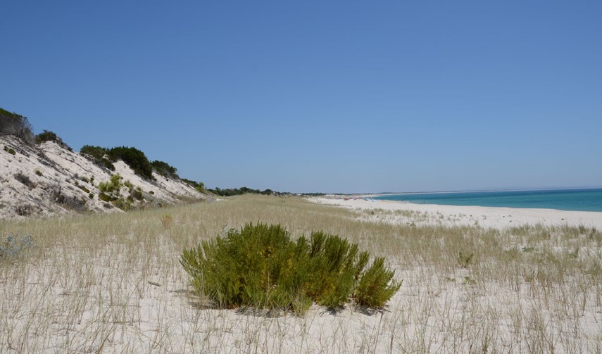 Beach view