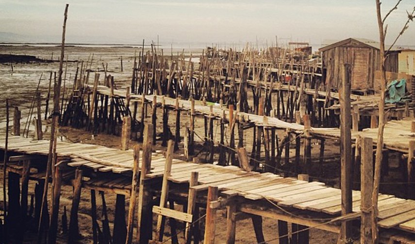Carrasqueira fisherman’s harbour