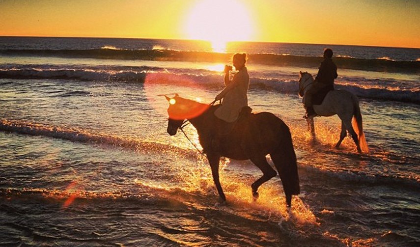 Horseback riding by the sea